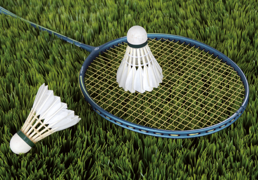 ALLP-badminton