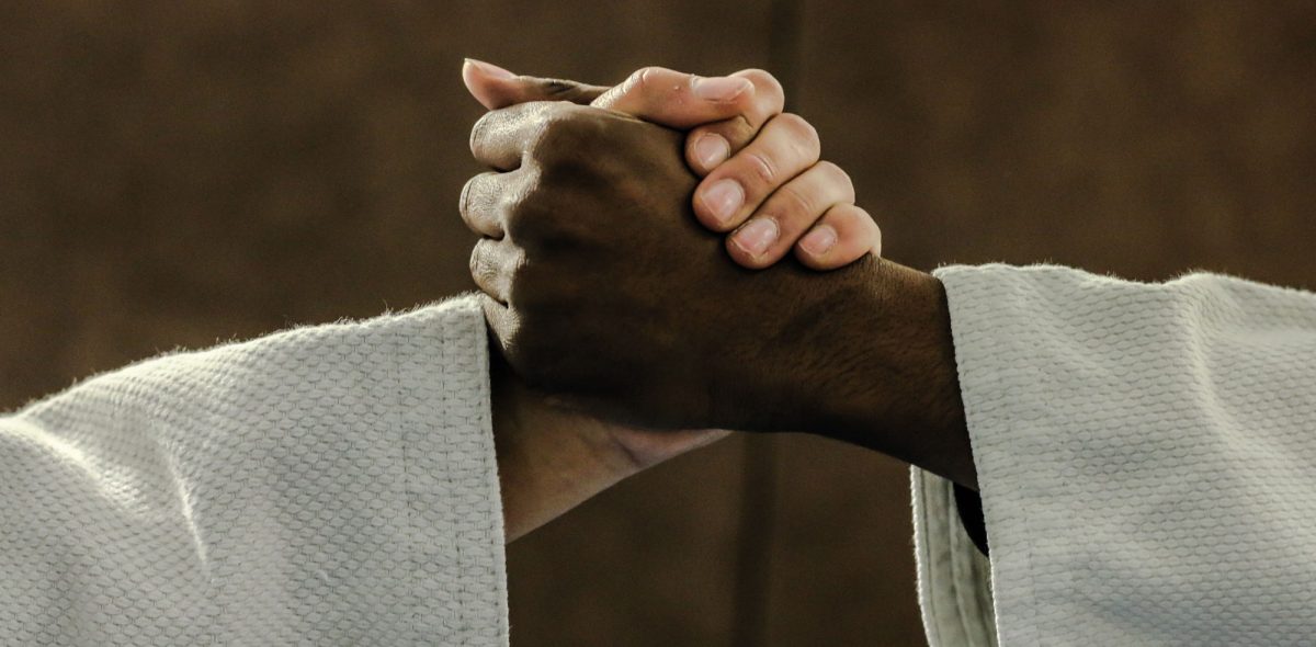 ALLP-jugo-taiso-jiujitsu